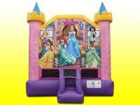 Disney Princess Bounce House