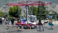 Flying Swings