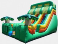 21' Dual Lane Tropical Slide